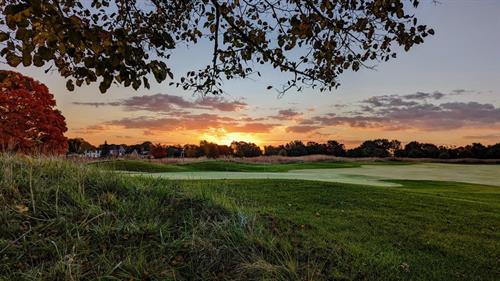 Gallery Image Adam81.jpg