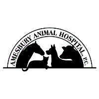 Open House Amesbury Animal Hospital