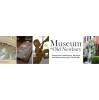 Museum of Old Newbury Hosts Student Symposium on Local History