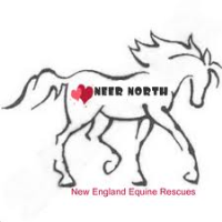 New England Equine Rescue North Fall Festival