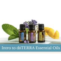 An Introduction To Essential Oils - A Natural Wellness Option