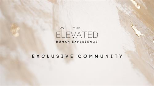Elevated Human Experience University - coming soon! 