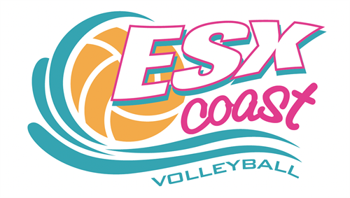 ESX Volleyball Logo