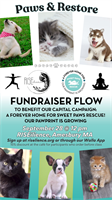 Fundraiser Yoga Flow for Sweet Paws