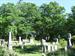 Oak Hill Cemetery, Tiptoe Through the Tombstones