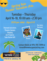 Spring Theater Vacation Arts