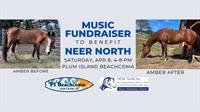 A Benefit for NEER North!