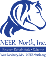 New England Equine Rescue - North