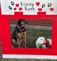 'Valentine Love' Pet Food Drive