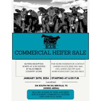 Commercial Heifer sale and awards- Horse Arena