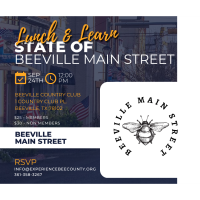 Lunch and Learn: State of Main Street