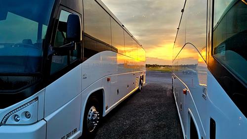 Charter one of our luxury coach busses for your next get together!