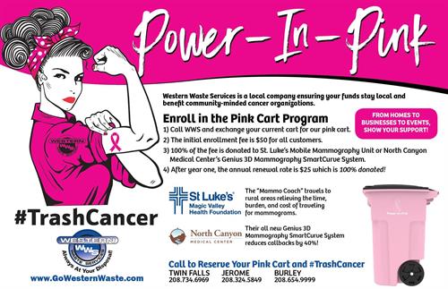 Power-In-Pink Program