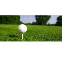 2015 Seymour Chamber of Commerce Golf Tournament