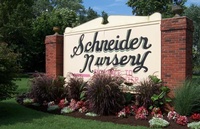 Schneider Nursery