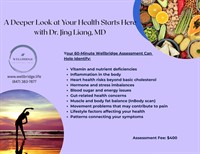 Wellbridge Clinical Group PLLC - Palatine