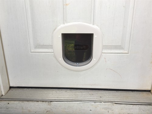 Pet Door Install