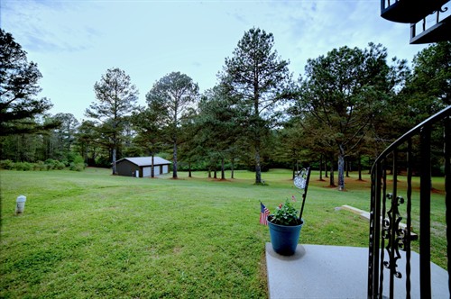 Amazing yard 