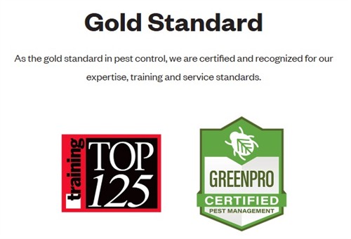 Gallery Image Gold_Standard.jpg