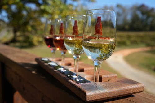 Cartecay Vineyard Shoot