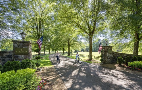 Gallery Image Barnsley_Resort_Flags_2025_(2).jpg