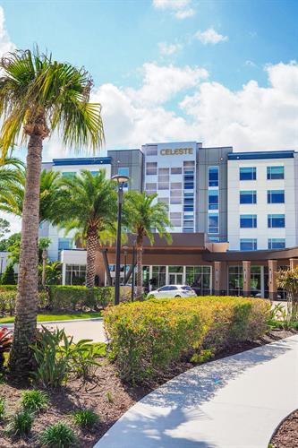 Gallery Image Celeste_Hotel_Tall_-_Tasty_Chomps.jpg