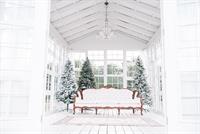 Holiday Greenhouse Mini Sessions