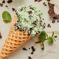 Bruster's Ice Cream DBA Insight Business Ventures, LLC - Oviedo