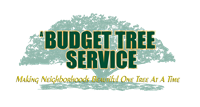 A Budget Tree Service