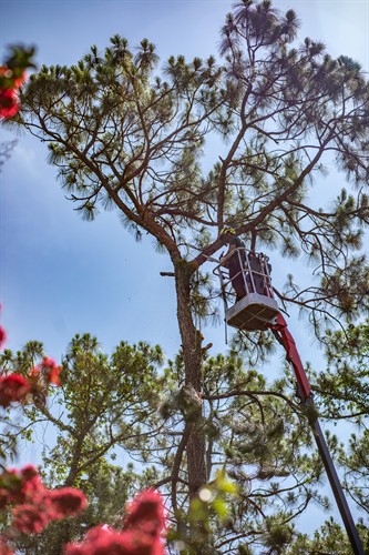 Gallery Image 232A0477.jpg