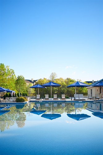 Gallery Image ChampionsPool_TopLevel_SalamanderMiddleburg_highres.jpg