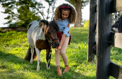Gallery Image SRS_Cupcake_and_Carrington-920.jpg