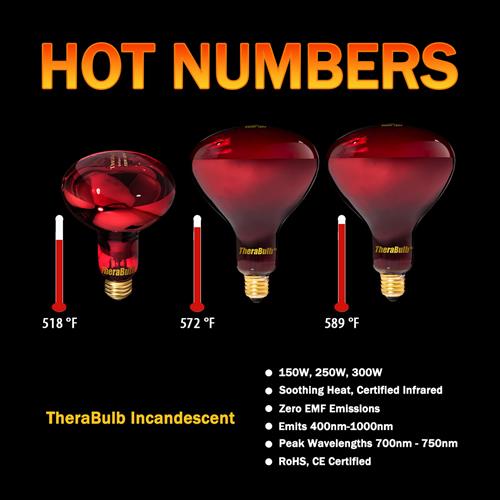 TheraBulbs Provide Soothing Warmth and Penetrating Infrared