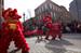 The Fun and Excitement of the Chinese New Year Comes to New Haven!