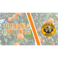 Ribbon Cutting: Einstein Bros. Bagels