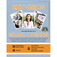 Ribbon Cutting: Zhu Vision