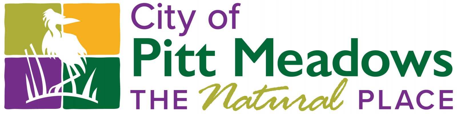 Council Accepts Registrar of Companies Outcome of the Pitt Meadows Community Foundation Review
