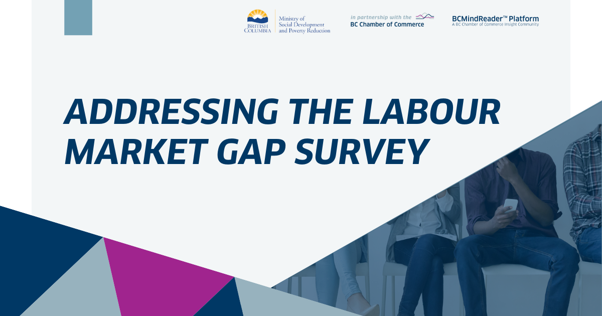 Image for BC Labour Survey Gap