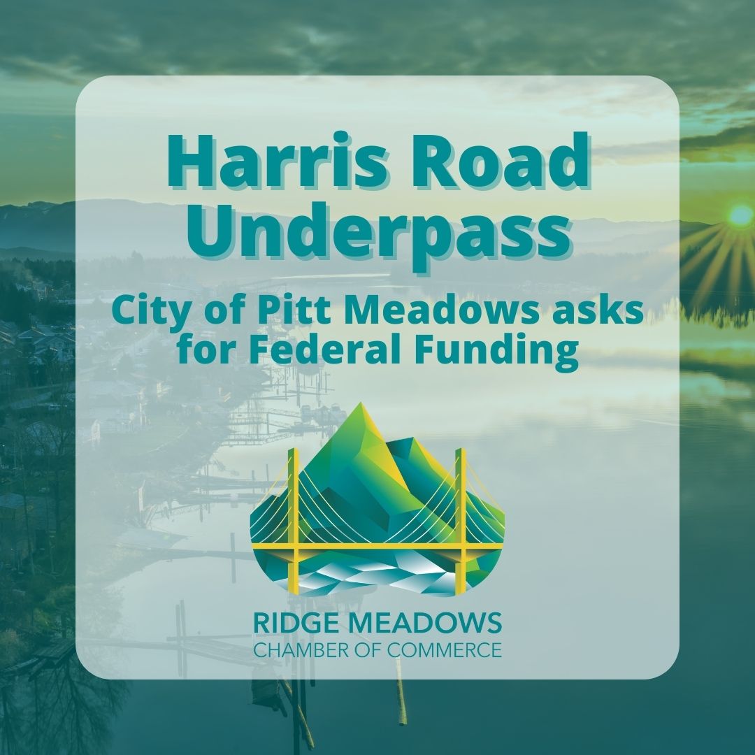 Image for City of Pitt Meadows: Harris Road Underpass