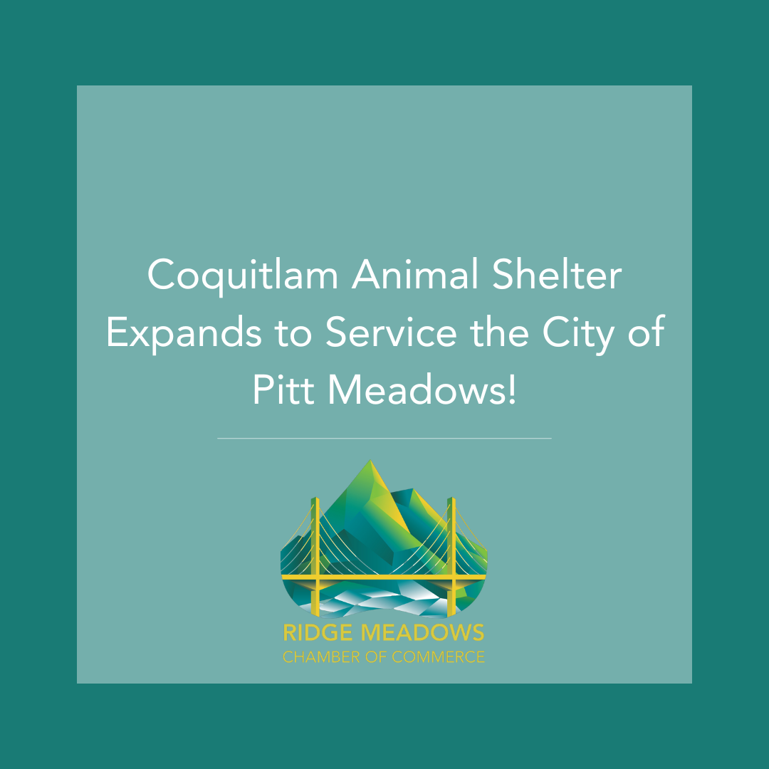 Coquitlam Animal Shelter Expands to Service Pitt Meadows!
