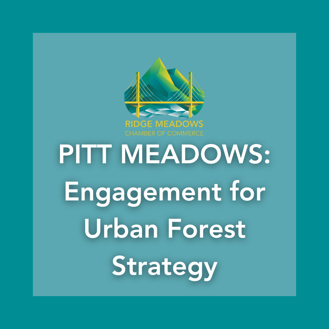 Image for Pitt Meadows Launches Engagement for Urban Forest Strategy