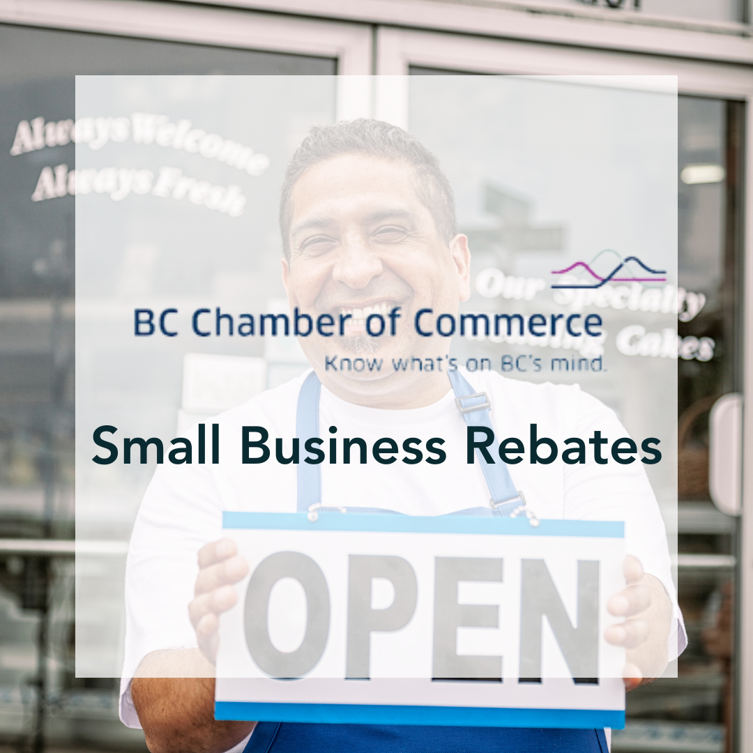Small Business Rebates
