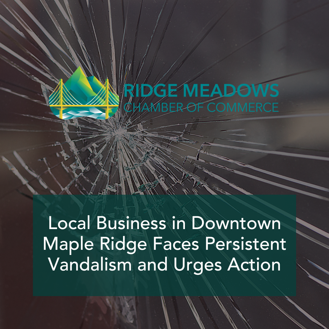 Image for Local Business in Downtown Maple Ridge Faces Persistent Vandalism and Urges Action