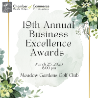 19th Annual Business Excellence Awards