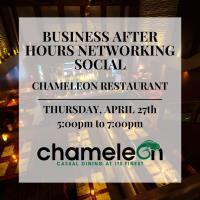 Business After Hours Networking Social - Chameleon