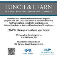 Lunch & Learn: New Insurance Plans for Small Businesses