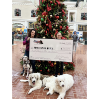 The HMSHost Foundation Changes Lives with Investment in SD Gunner Fund’s Service Dog Program