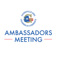 Virtual - Ambassadors Meeting