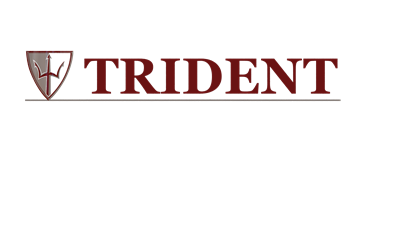 Trident Process Systems, LLC