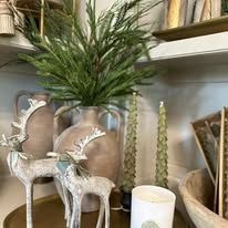 Gallery Image Image_6.jpg
